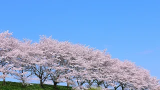 福山市の温泉・日帰り温浴施設おすすめ10選｜地元民が選ぶ人気ランキングを厳選