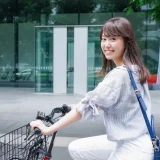 杉並区エリアのペットショップ・トリミングサロンまとめ｜おすすめ10選を厳選紹介