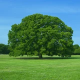 大阪市の温泉・日帰り温浴施設おすすめ10選｜口コミ評価が高い人気ランキングまとめ