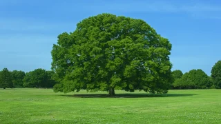 大阪市の温泉・日帰り温浴施設おすすめ10選｜口コミ評価が高い人気ランキングまとめ