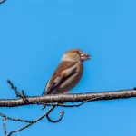 横浜市の公園・緑地完全ガイド｜おすすめ10選と失敗しない選び方