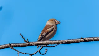 横浜市の公園・緑地完全ガイド｜おすすめ10選と失敗しない選び方