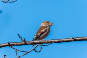 名古屋市の公園・緑地完全ガイド｜おすすめ10選と失敗しない選び方