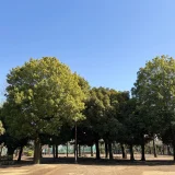 川崎市の祭り・イベント完全ガイド｜おすすめ10選と失敗しない選び方