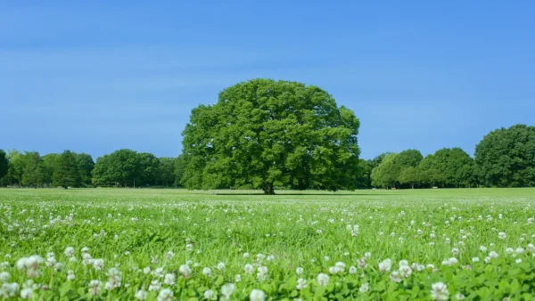 福岡市の温泉・日帰り温浴施設を徹底比較｜おすすめ10選と選び方ガイド