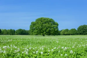 神戸市の温泉・日帰り温浴施設完全ガイド｜おすすめ10選と失敗しない選び方