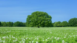 杉並区の名産品・特産物完全ガイド｜おすすめ10選と失敗しない選び方