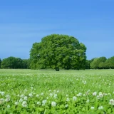 旭市の旅館・宿泊施設おすすめ10選｜2026年版・地域密着の人気施設ランキング