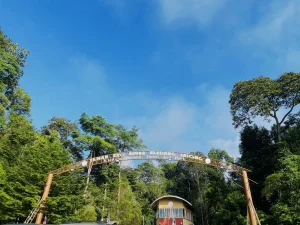 練馬区の公園・緑地おすすめ10選｜2026年版・地域密着の人気施設ランキング