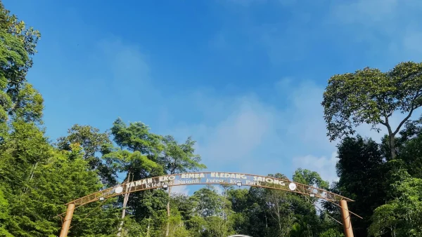 練馬区の公園・緑地おすすめ10選｜2026年版・地域密着の人気施設ランキング