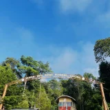 江東区の公園・緑地人気10選｜失敗しない選び方を徹底解説