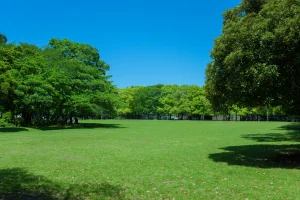 京都市エリアの銭湯・サウナまとめ｜おすすめ10選を厳選紹介