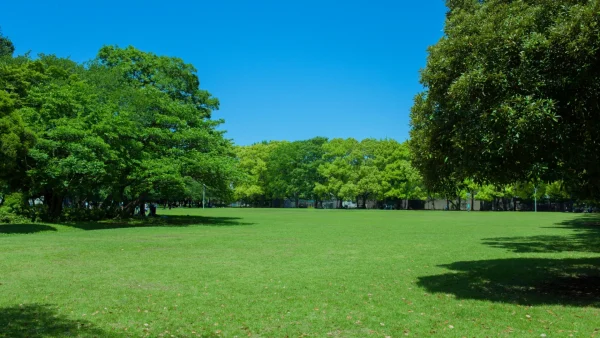 浜松市で人気の公園・緑地10選｜はじめての方にもわかりやすく解説